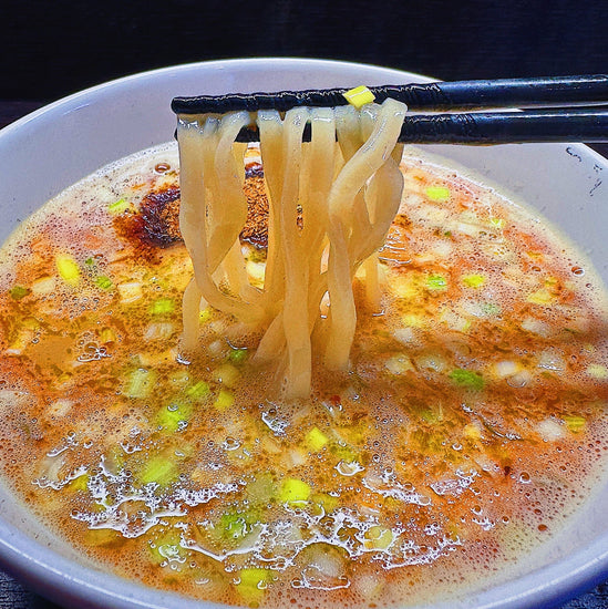 TORI PAITAN GYOKAI TSUKEMEN KIT - Matsudai Ramen